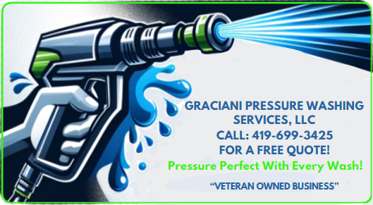 Graciani Power Washing logo.png
